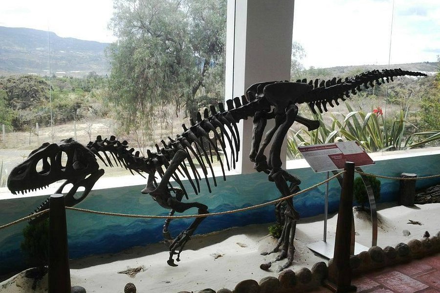 Centro de Investigaciones Paleontologicas - CIP image