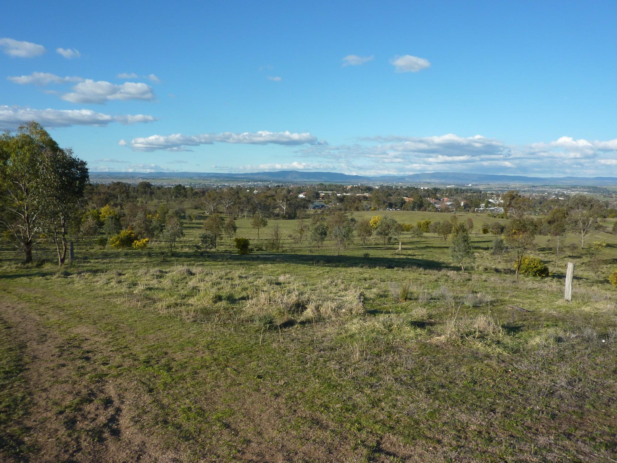 Kangaroo Boundary Road Reserve (Bathurst) - 2023 Alles Wat U Moet Weten ...