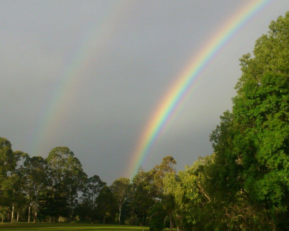 THE 10 BEST Things to Do in Cooroy (2024) - Must-See Attractions