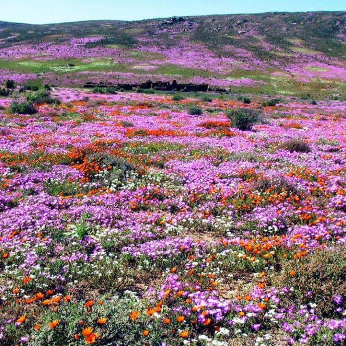 namaqualand tourism