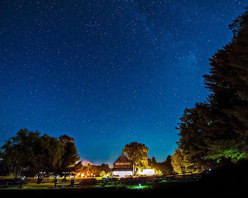 THE 15 BEST Things to Do in Bracebridge (2025)