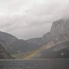 Greenice