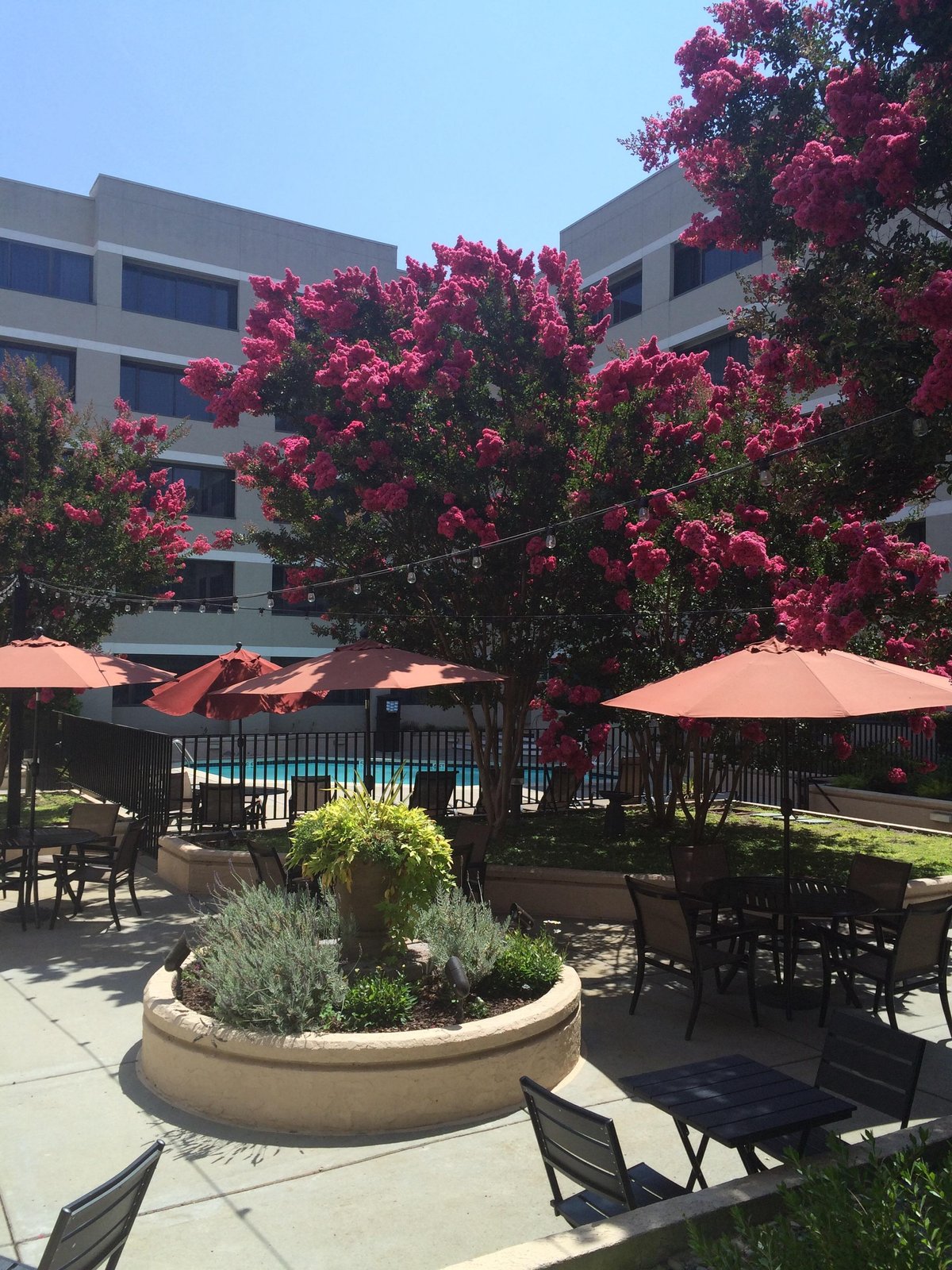 Radisson Hotel Sunnyvale - Silicon Valley Pool Pictures & Reviews ...