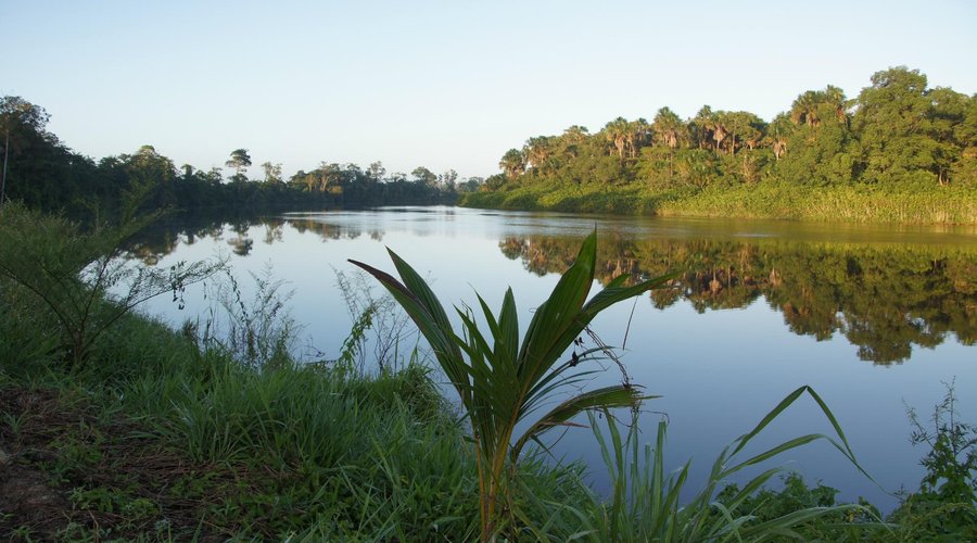 les bords du fleuve