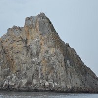 Симеиз 2015