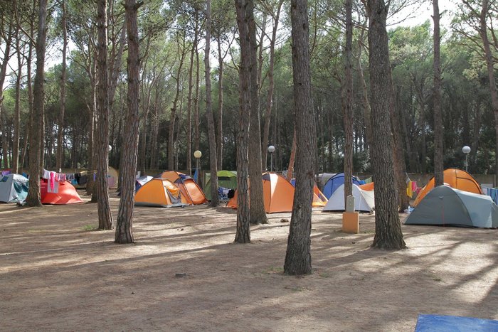 Imagen 19 de Camping Neptuno