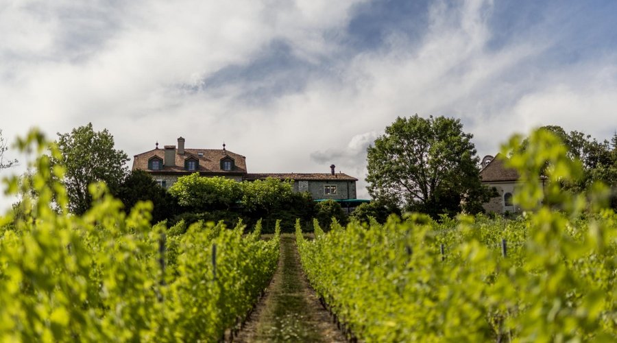 Domaine de Châteauvieux image 3 - Full view