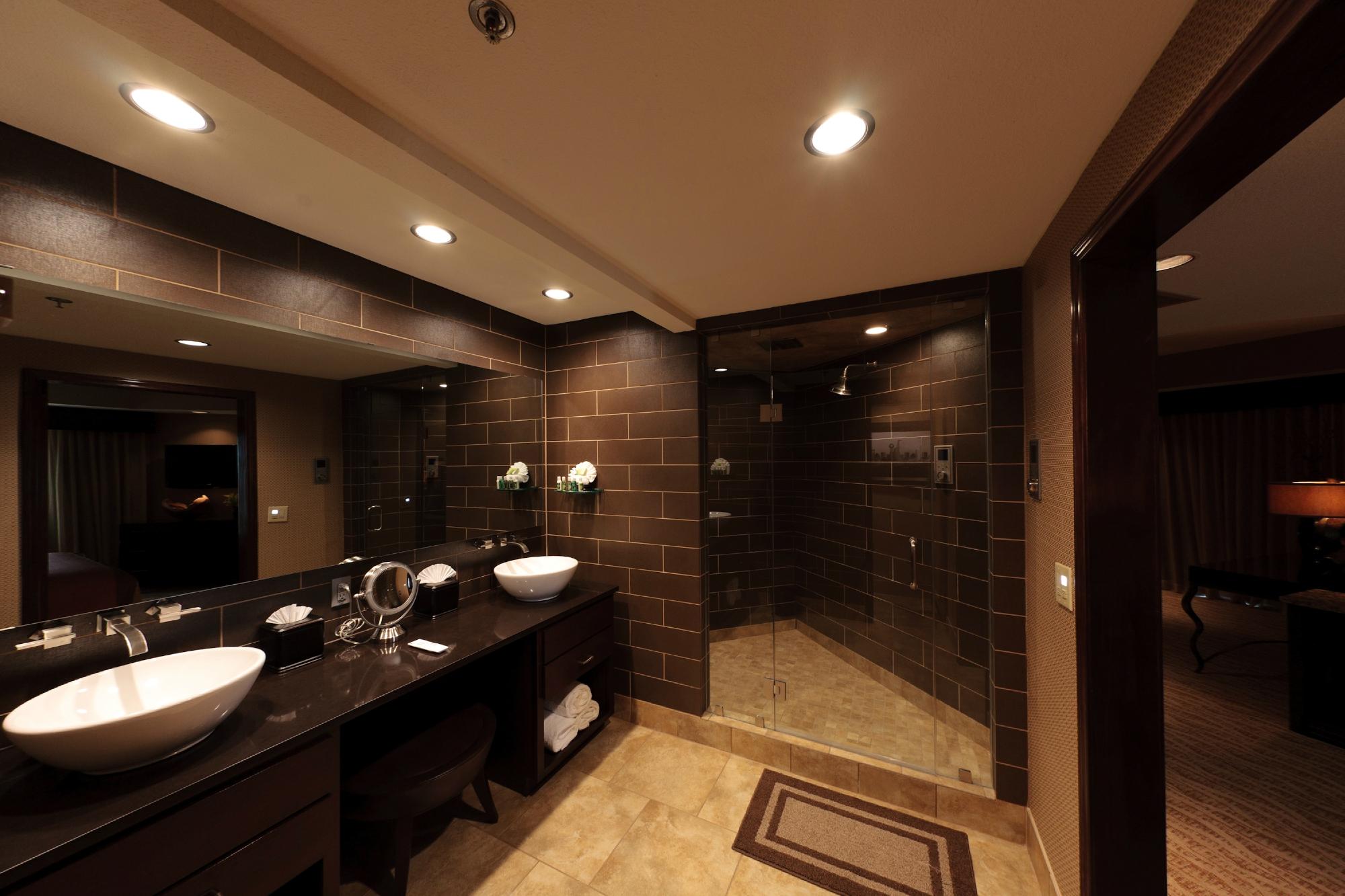 Hotel photo 70 of Embassy Suites by Hilton Grapevine DFW Airport North.