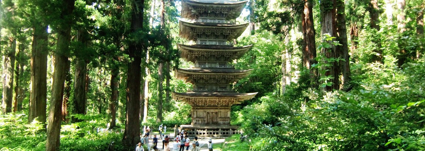 杉の間から見える五重塔