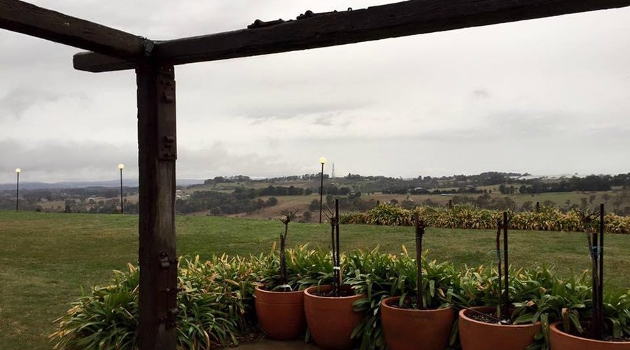 View from outside the cellar door