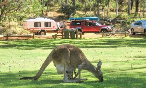 Picnic area at Serpentine Falls National Park