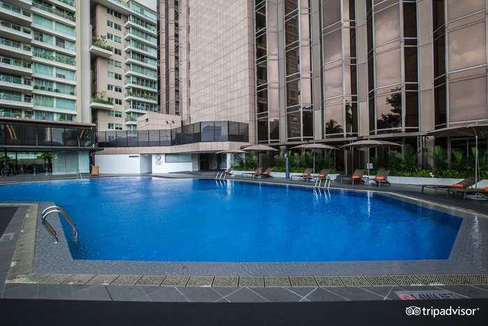 Sheraton Towers Singapore Pool Pictures & Reviews - Tripadvisor