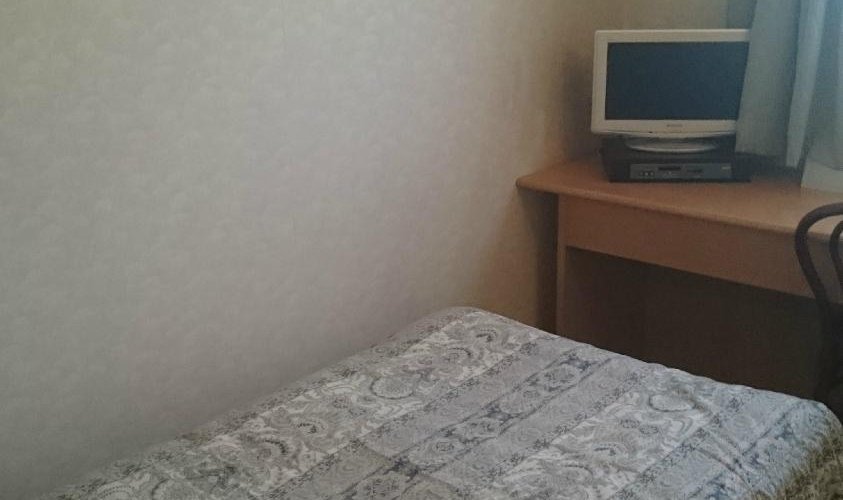 テレビはやや小さい