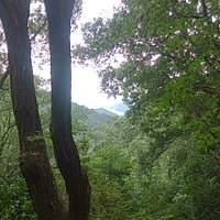 見晴台