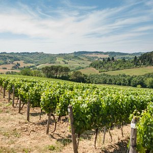 Degustazione di vini presso la Tenuta Barbadoro vicino a Firenze