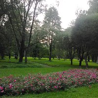 Верхняя часть удельного парка