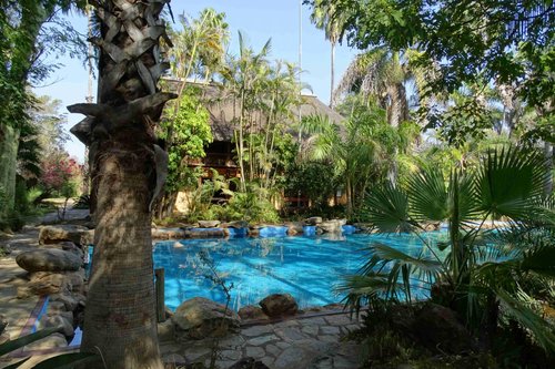 MAKUTSI SAFARI SPRINGS (Hoedspruit, Zuid-Afrika) - foto's en reviews ...