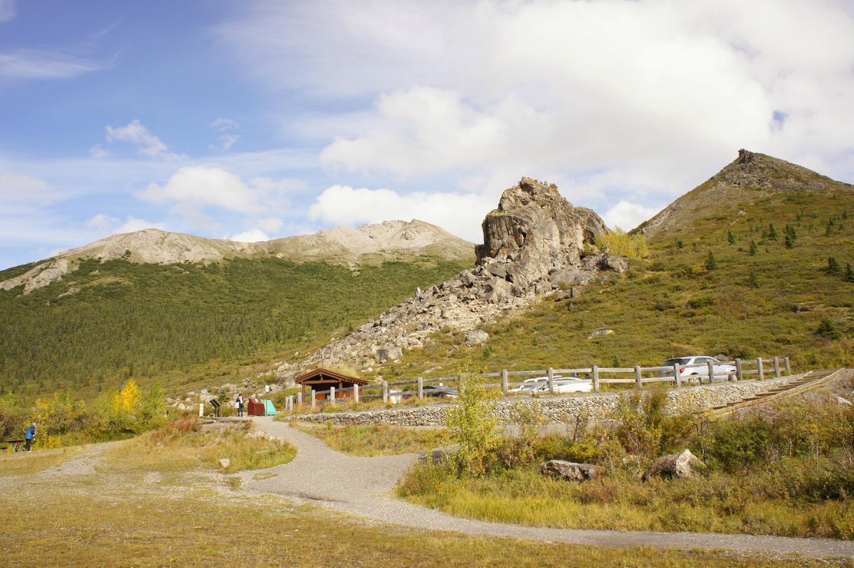 Denali Park Village, Национальный парк и заповедник Денали: лучшие советы  перед посещением - Tripadvisor