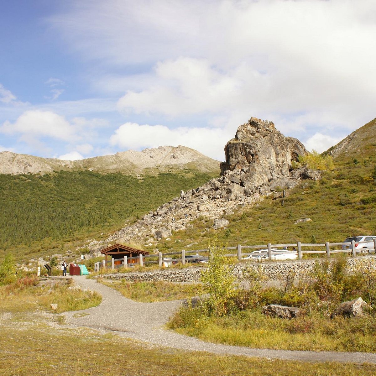 denali park village tours