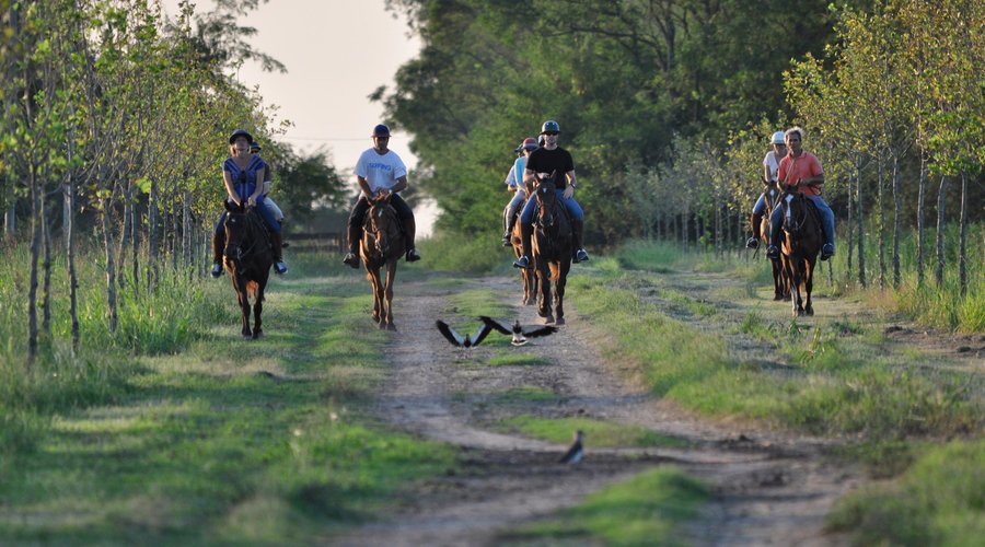 TRAILRIDING