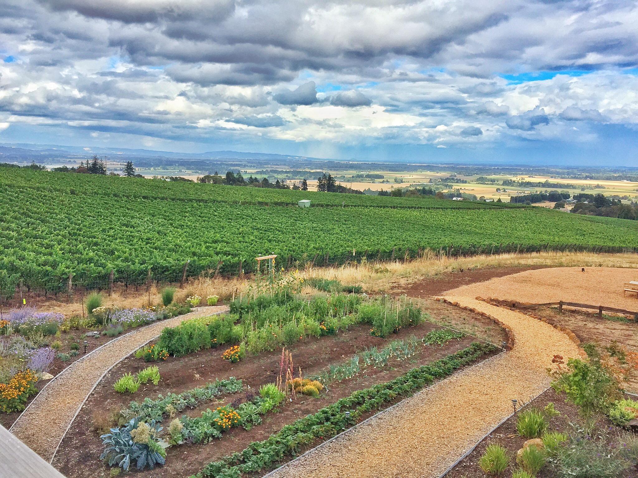 THE 10 BEST Amity Wineries Vineyards Updated 2024