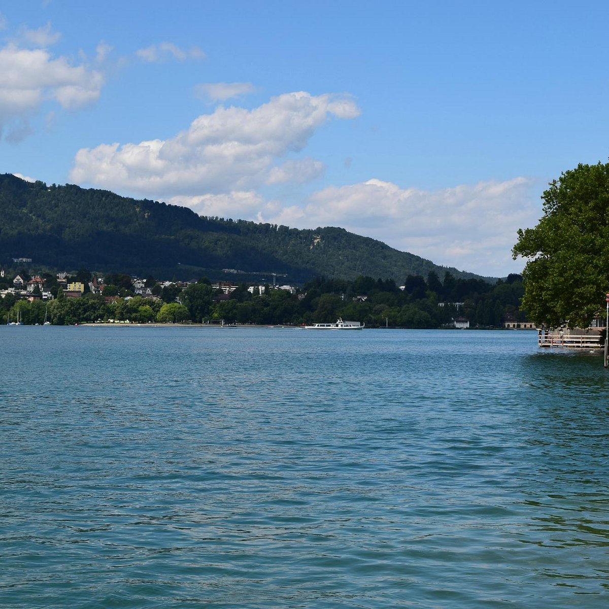 lake zurich switzerland