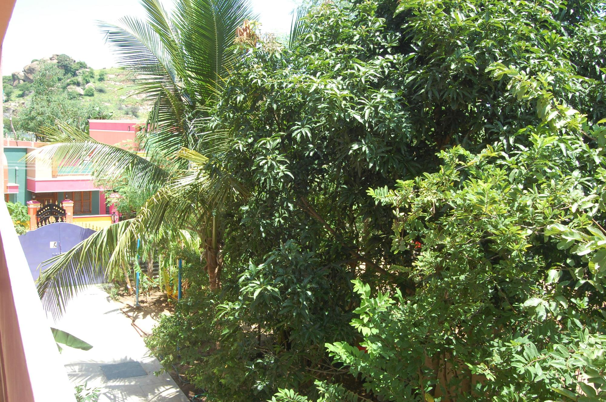 Hotel photo 4 of Rainbow Guest House.