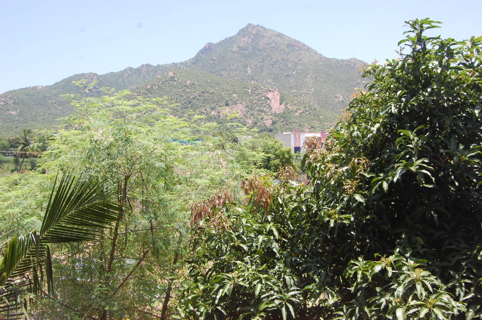 Hotel photo 37 of Rainbow Guest House.