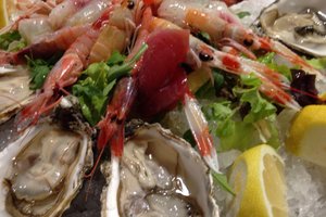 Cibo