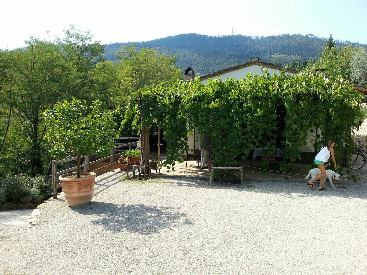 AGRITURISMO CERCINA VECCHIA RESTAURANT, Sesto Fiorentino - Ristorante  Recensioni, Numero di Telefono & Foto - Tripadvisor