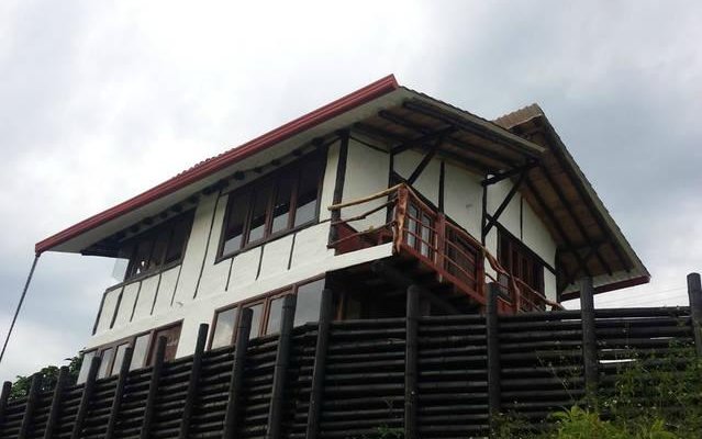 View of the house from the backyard