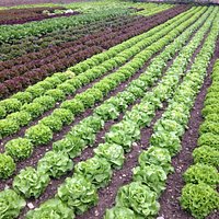 Ferme bres