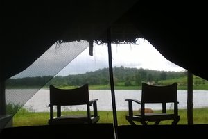 Room & Suite