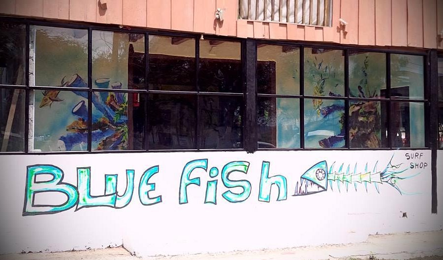 Blue Fish Surf Shop image