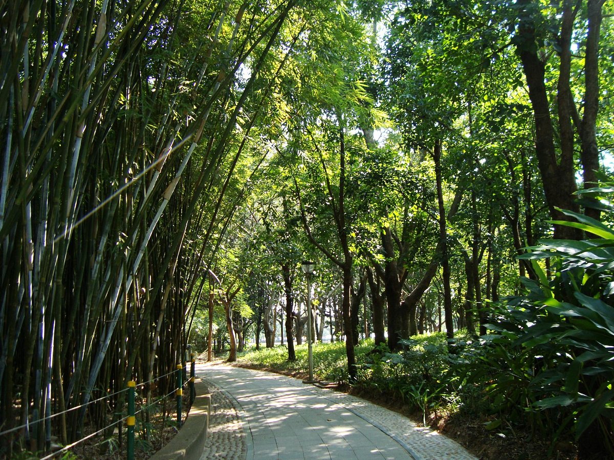 Shenzhen Nature Reserve - anmeldelser - Tripadvisor