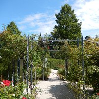 Riedergarten