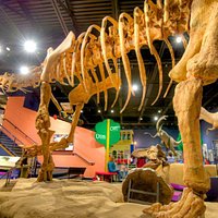 Dinosaur Gallery
