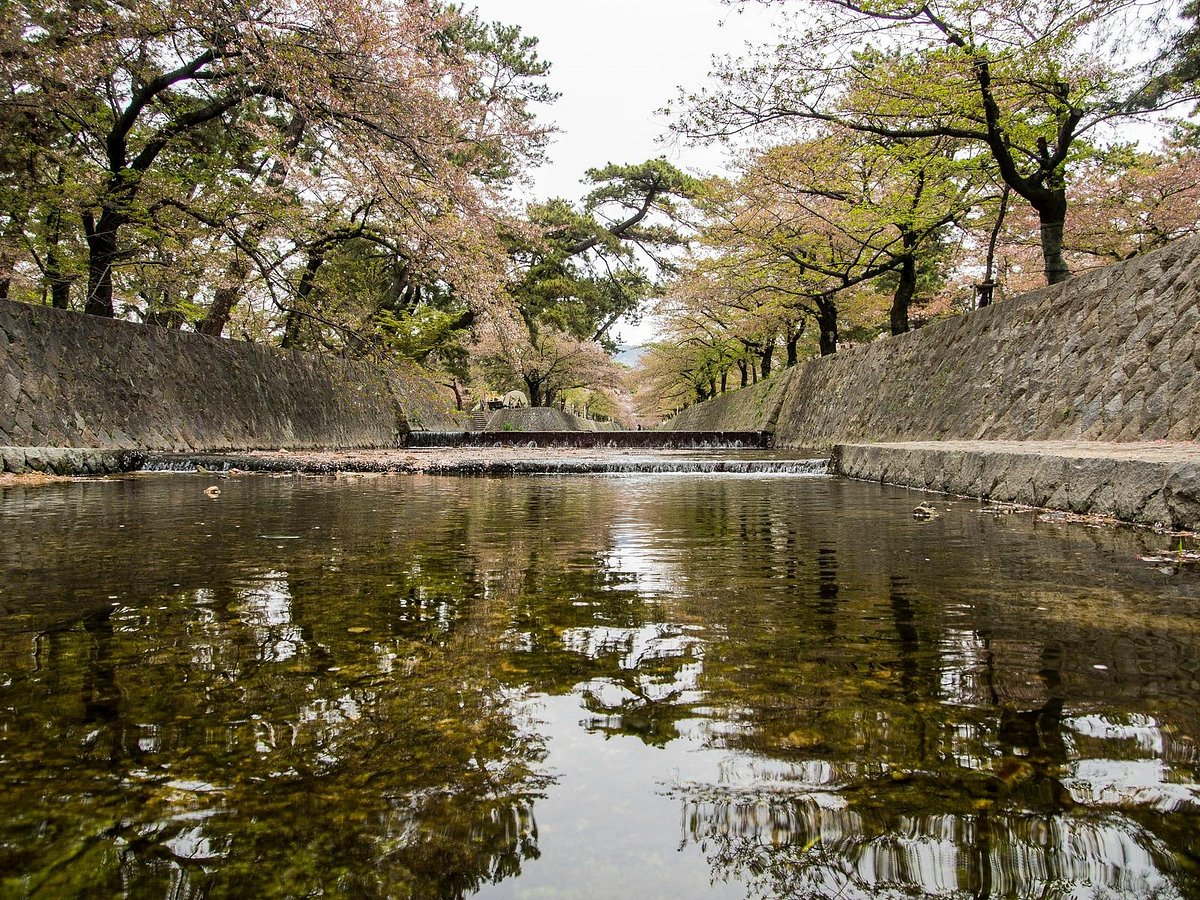 Shukugawa Park Nishinomiya Ce Qu Il Faut Savoir