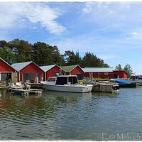 Venevajat