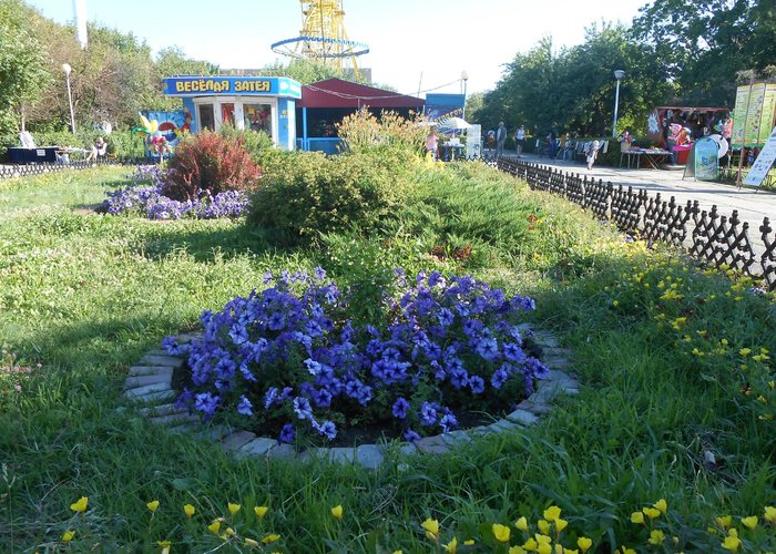 Клумбы в парке.