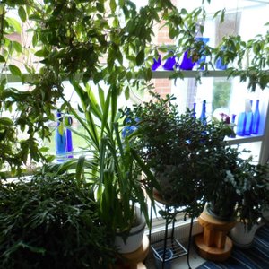 la sala della colazione