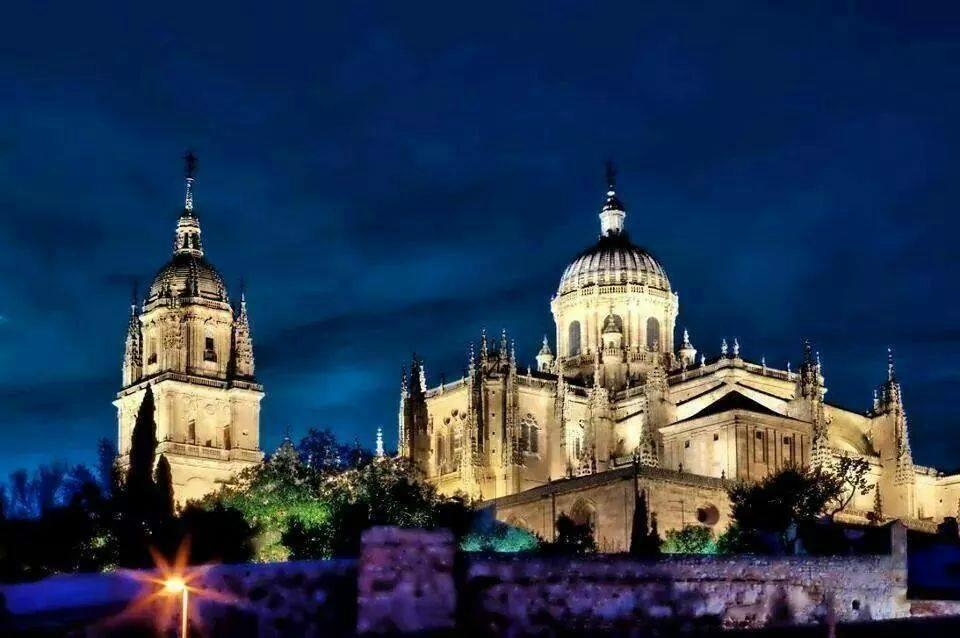 Old Cathedral (Catedral Vieja) (Salamanca, Spain): Hours, Address ...