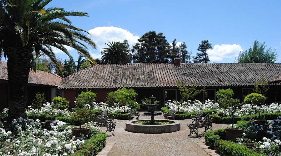 Entry rose garden