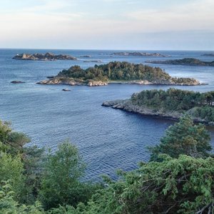 View from walking trail in woods