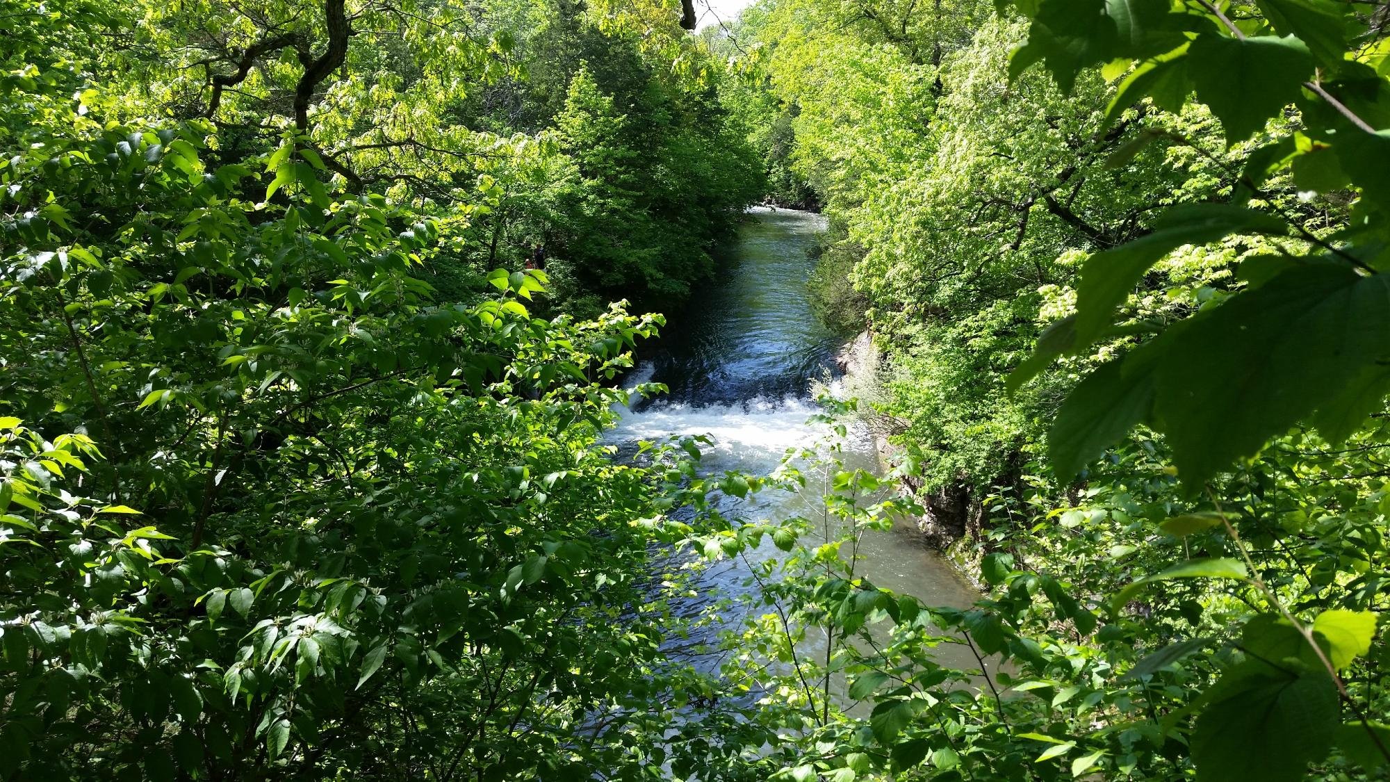 Kankakee River State Park - 부르보네 - Kankakee River State Park의 리뷰 - 트립어드바이저