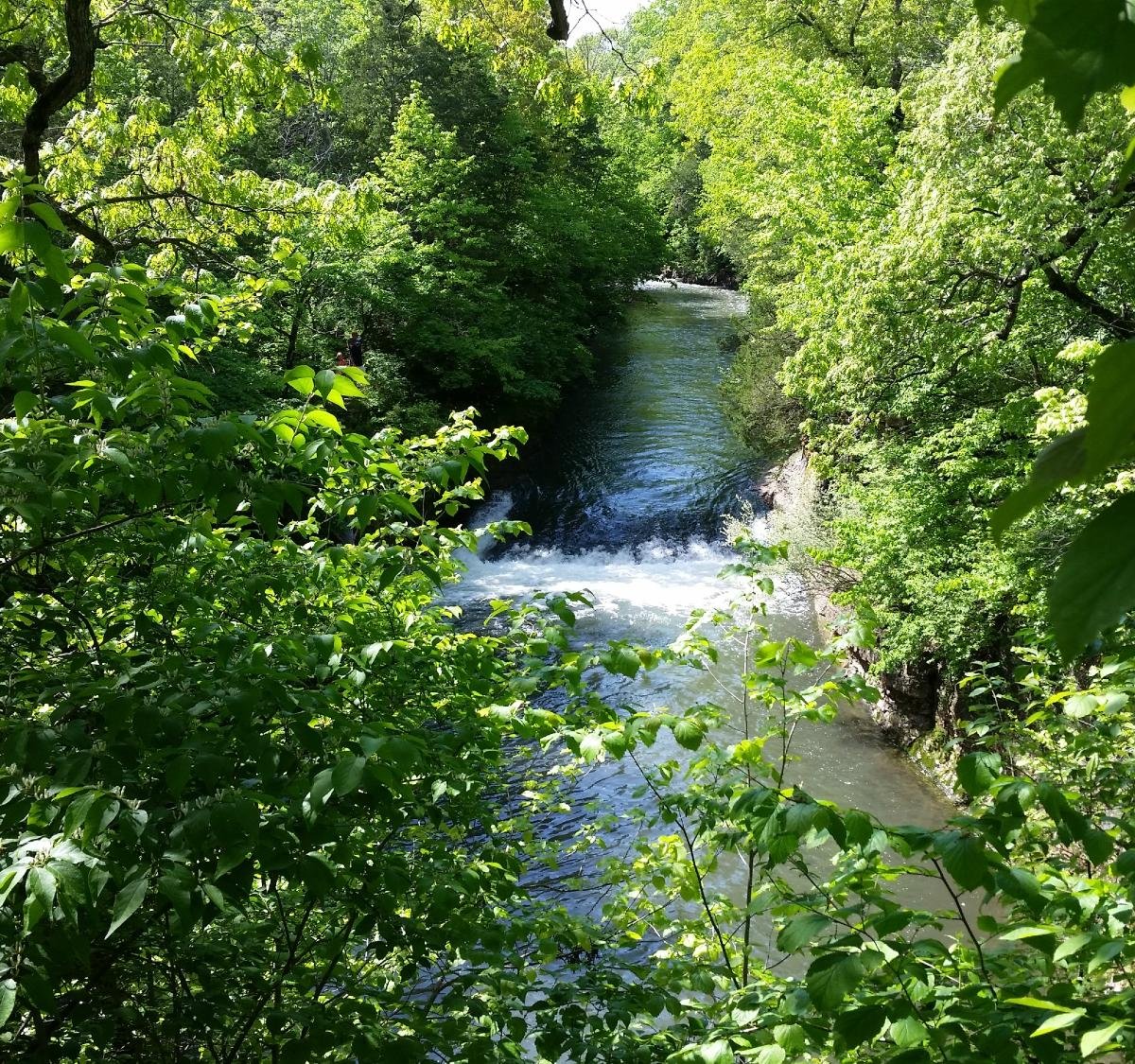 Kankakee River State Park (Bourbonnais, IL) - omdömen - Tripadvisor