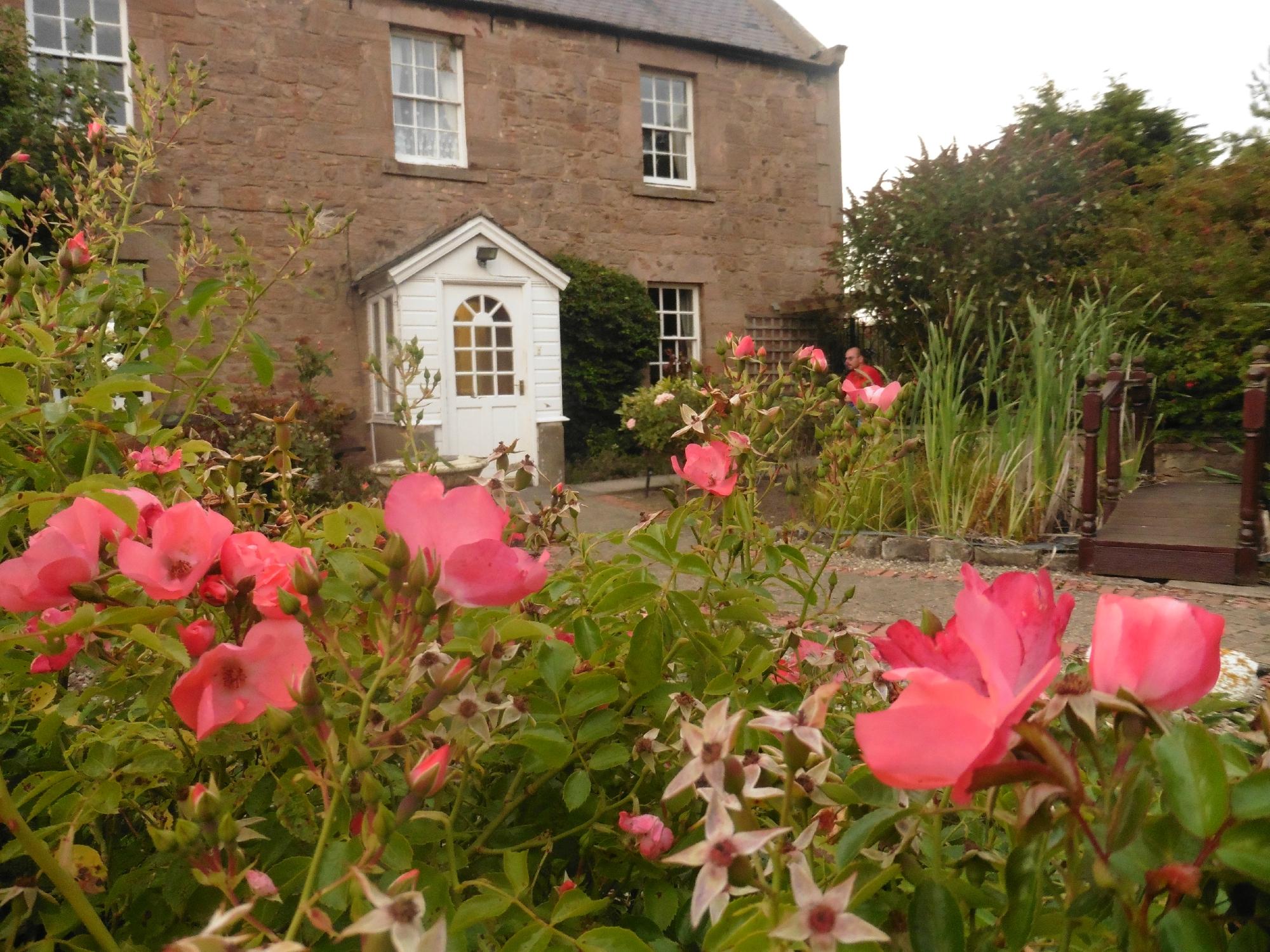 THE BEST Beal Bed And Breakfasts 2024 (with Prices) - Tripadvisor