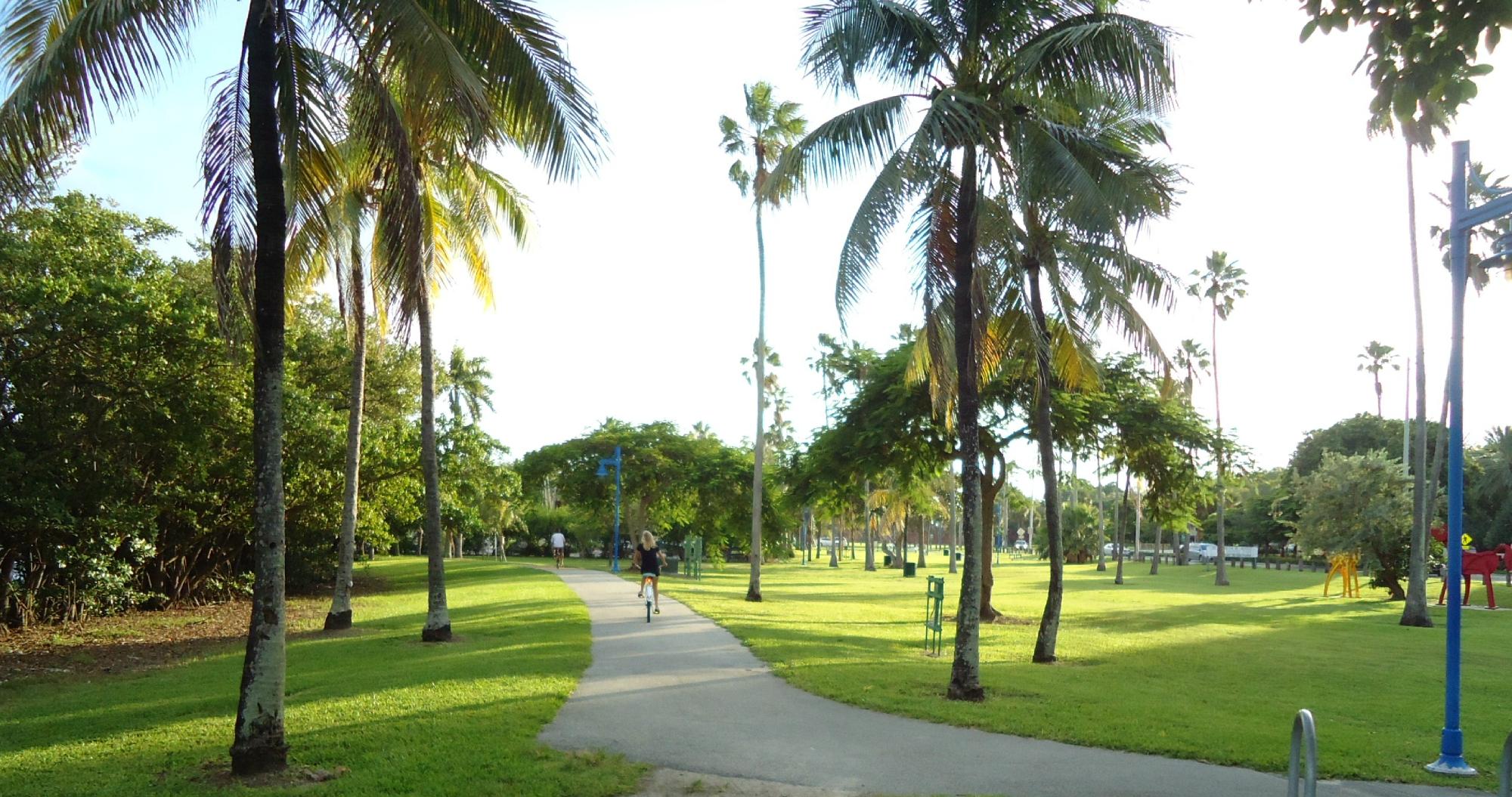 THE 15 BEST Things To Do In Miami 2024 With Photos Tripadvisor   Peacock Park 