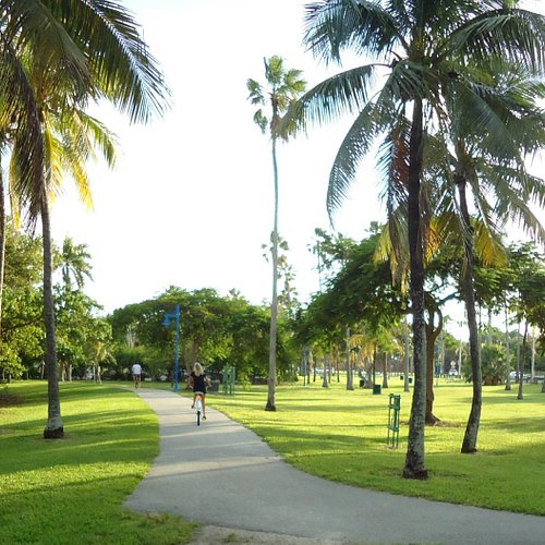 Miami Florida, Parque Bayfront, Paseo por los Animales, evento de
