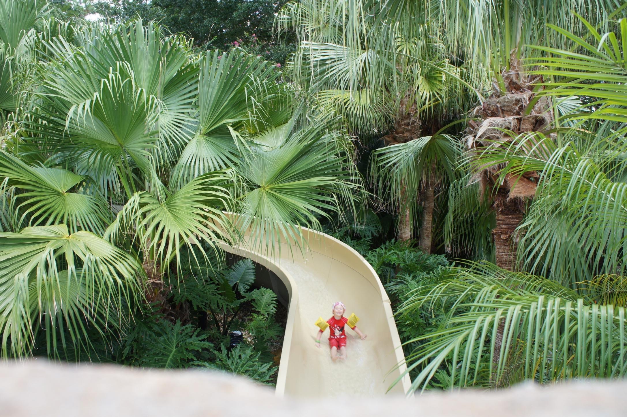 Hotel photo 32 of Disney's Coronado Springs Resort.